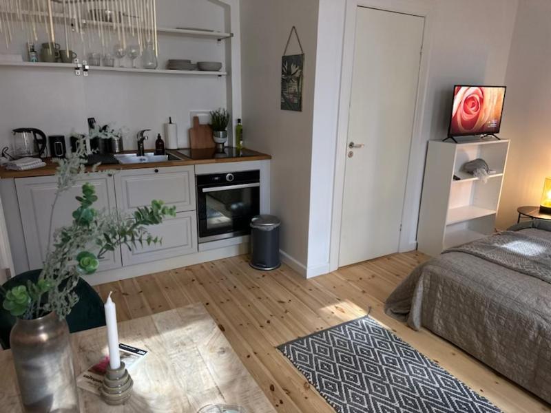 Fantastic Studio Apartment Copenhagen Luaran gambar